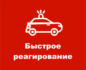Быстрое реагирование пультовой охраны "Барс-Ишим"