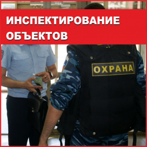 Инспектирование объектов "Барс-Ишим"